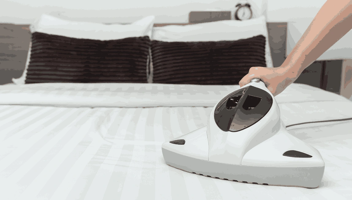 Professional Mattress Cleaning Collingwood